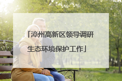 漳州高新区领导调研生态环境保护工作